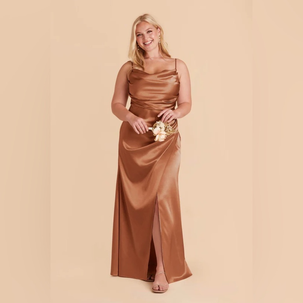 Birdy Grey Lydia Dress in Rust Size M NWT